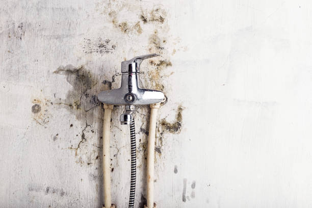 Best Residential Mold Removal  in Aledo, IL