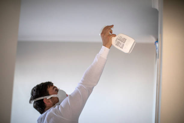 Best Affordable Mold Removal  in Aledo, IL